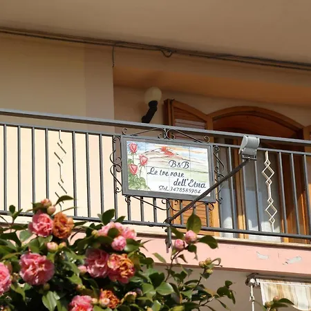 Le Tre Rose Dell'etna